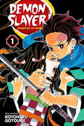 Demon Slayer, Vol. 1 cover