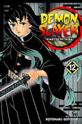 Demon Slayer, Vol. 12 cover