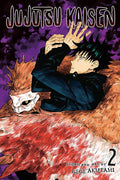 Jujutsu Kaisen, Vol. 2 cover
